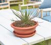 Artevasi Blumentopfuntersetzer Redondo Kunststoff rund terrakotta matt Ø 26 cm Bild 2