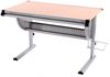 Kinder-/Jugend-Schreibtisch Schülerschreibtisch Bürotisch Oxford, höhenverstellbar, neigbar, 62-92 x 118 x 68 cm ~ natur, Buche Bild 5