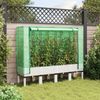 vidaXL Hochbeet mit Gewächshaus-Aufsatz Rattan-Optik 160x40x140 cm 4015849 Bild 3