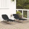 vidaXL Klappbare Sonnenliege 2 pcs Schwarz 188 x 57 x 86,5 cm 42003147 Bild 3