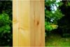 Palmako Pavillon Betty, 25,0 m², transparent tauchgrundiert Bild 4