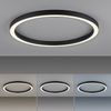 Paul Neuhaus 6306-13 PURE-LINES LED Deckenleuchte anthrazit CCT 70cm Bild 3