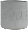 Räder Betonübertopf Evergreen Ø 15 cm H 15 cm Bild 1