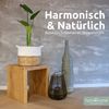 Massivholz Hocker mit Baumkante - Eiche - 40 x 40 x 45cm Bild 2