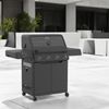 Rösle BBQ Station AllFlame Prime 4 Brenner Gasgrill 251052 Bild 4