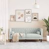vidaXL Chesterfield-Sofa mit Nackenrollen 2-Sitzer Hellgrau Samt 372683 Bild 3