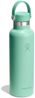 Hydro Flask Trinkflasche 21 OZ Standard Flex Cap, 621 ml Bild 2