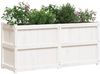 vidaXL Pflanzkübel Weiß 150x50x70 cm Massivholz Kiefer 837490 Bild 4
