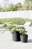 Ecopots Pflanztopf Amsterdam Ø 30 x 26 cm dunkelgrau Bild 3