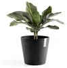 Ecopots Pflanztopf Amsterdam Ø 30 x 26 cm dunkelgrau Bild 2