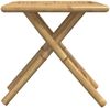 vidaXL Gartentisch Klappbar 45x45x45 cm Bambus 365877 Bild 5
