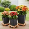 Garronda Blumentopf Kunststoff eckig mit Drainagelöchern Blumentopf für Garten GD-0199 (5 St, 5er Set) Bild 3