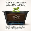 2x Balkonkasten 100cm Blumenkasten mit Wasserspeicher Anthrazit / Grau, 25 L - Blumenkästen wetterfest Pflanzkasten mit Einsatz Lange Balkonkästen für Garten und Balkon witterungsbeständig Bild 2