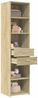 vidaXL Highboard Sonoma-Eiche 45x42,5x185 cm Holzwerkstoff 3281450 Bild 3