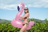 Schwimmtier Luxury Flamingo Ø 173 x 25 cm Bild 4