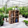 Holzkisten Regal 4er Set 50 x 40 x 30cm mit Ablage kurz Bild 3