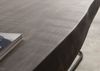 Baumtisch Mango 200x100x79 grau lackiert / Mikado-Beine anthrazit matt FREEFORM 5 Bild 3
