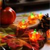 Rosnek LED-Lichterkette 2/3M, Kürbis/Mais, flexibler Kupferdraht, Batterie, für Halloween, Thanksgiving Herbst Deko Bild 1
