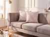 Kissen 2er Set Pflanzenmuster FREESIA Samtstoff 45 x 45 cm Rosa Bild 3