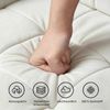 Dripex Sofa 121 cm kleines 2-Sitzer-Sofa aus Samt – bequeme Couch Bild 2