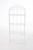 TPFGarden Standregal Anton - Blumenständer - 4-stöckiges Pflanzenregal, Blumenregal - Pflanzengestell, Pflanzenständer mit den Maßen (HxB xT): 153 x 61 x 33 cm Bild 2