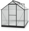 Vitavia Gewächshaus "Eos 6000", schwarz, 6,0 m²,4 mm HKP Bild 5