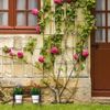 Relaxdays Mini Blumenbank Bild 5