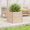 vidaXL Pflanzkübel 50x50x46 cm Massivholz Kiefer 3282404 Bild 3