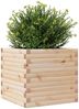 vidaXL Pflanzkübel 50x50x46 cm Massivholz Kiefer 3282404 Bild 4