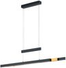 375310502 LED Pendelleuchte TRAJAN Deckenleuchte Touch Dimmer verstellbar 95-150 cm Bild 2