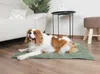 Dandy Dog Hundedecke Balance Soft Green Größe L Bild 4