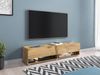 TV-Lowboard Jumbo 140 (Farbe: Wotan, ohne Beleuchtung) Bild 2