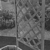 Spalier mit Blumenkasten Rankgitter Rosengitter Rankhilfe Rankkasten Rosen grau Bild 4