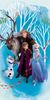 Disney Frozen Baumwolle Strandtuch Frottee Badetuch mit Premium Druck, 70x140 cm Bild 2