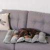 Love Story Tierbett Reisebett für Hunde BICOLORE, 80x50 cm, khaki+grau Bild 4