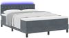 vidaXL LED Boxspringbett mit Matratze Dunkelgrau 160 x 200 cm Samt 3342597 Bild 3