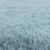 Soft-Shaggy Teppich FLUFFY BLUE 80 X 250cm Läufer Bild 5