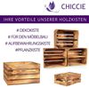 CHICCIE Holzkiste Regale Geflammt 50x40x15cm - Kisten Weinkisten (3 St) Bild 4
