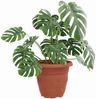 vidaXL Runder Blumentopf 24 pcs Ziegelrot Ø 22 x 18 cm Kunststoff 42020289 Bild 3