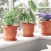 vidaXL Runder Blumentopf 24 pcs Ziegelrot Ø 22 x 18 cm Kunststoff 42020289 Bild 4