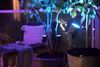 Philips Hue Outdoor Lily Spike Spot - Verlängerung Bild 2