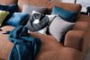 KAWOLA Big Sofa MADELINE mit Holztablett schwarz für Armlehne Stoff cognac 85 x 170 x 290 cm Bild 5