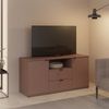 TV-Schrank >GANYMEDE< 2 Türen, 2 Schübe, Fach, terrakottafarbig - 129,8x63,1x41,3cm (BxHxT) Bild 2