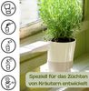 GarPet Kräutertopf 4er Set Kräutertopf Selbstbewässernd Selbstbewässerungstopf Küche 11cm Bild 4
