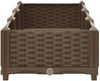 vidaXL Hochbeet 120x40x23 cm Polypropylen 316513 Bild 5