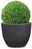 Scheurich Barceo 40, Pflanzgefäß/Blumentopf/Pflanzenkübel, rund, aus Kunststoff Farbe: Stony Black, 39 cm Durchmesser, 30 cm hoch, 28,5 l Vol. Bild 4