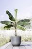 Ecopots Pflanztopf Oslo Ø 45 x 39,2 cm grau Bild 2