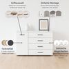 rauch Aditio Box, Kommode, 1-türig, 4 Schubladen, mit Softclose-Funktion, Farbe Grau metallic/Eiche Artisan, BxHxT 120x81x42cm Bild 5