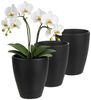 Annastore Übertopf 3 x Orchideentopf aus Keramik - Orchideenübertopf - Blumenübertopf, H 17 cm - Ø 13,5 cm Bild 3