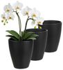 Annastore Übertopf 3 x Orchideentopf aus Keramik - Orchideenübertopf - Blumenübertopf, H 17 cm - Ø 13,5 cm Bild 2